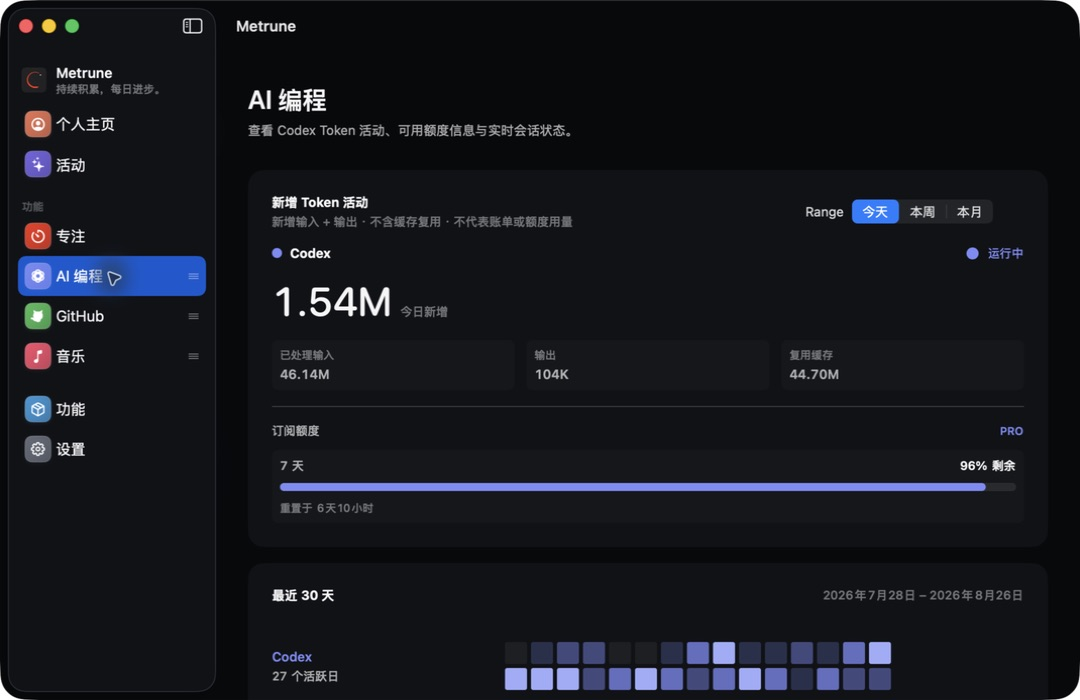 Metrune AI Coding workspace